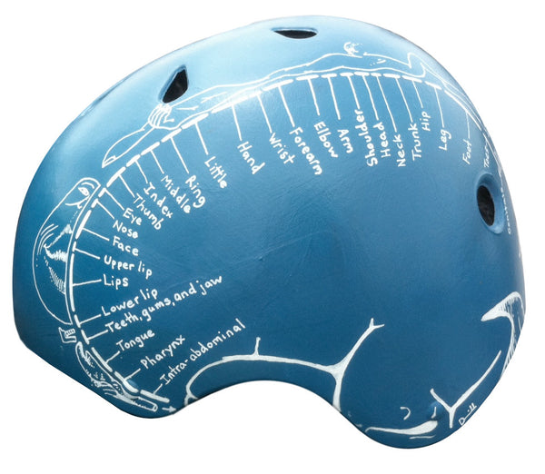 Homunculus Bike Helmet