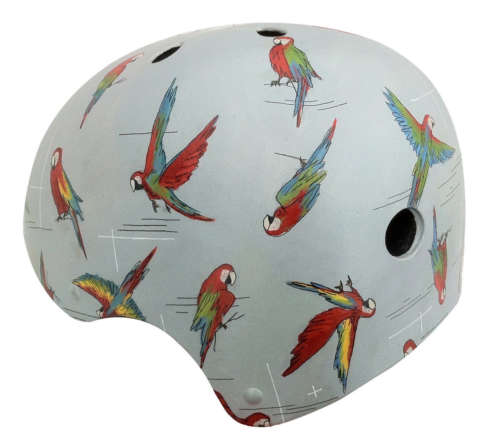bird motorcycle helmets Parrots Bike Helmet